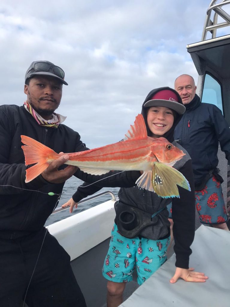 Gurnard