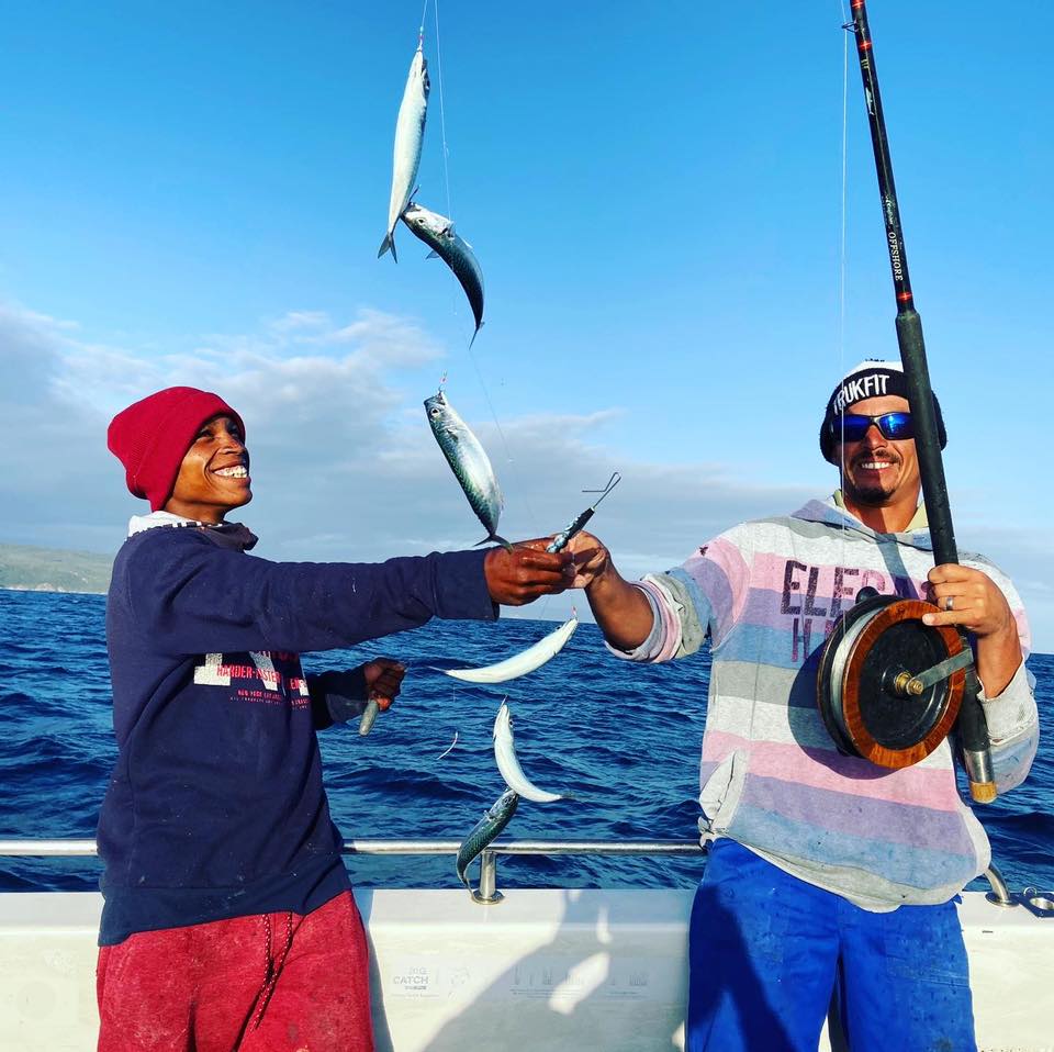 Mackerel
