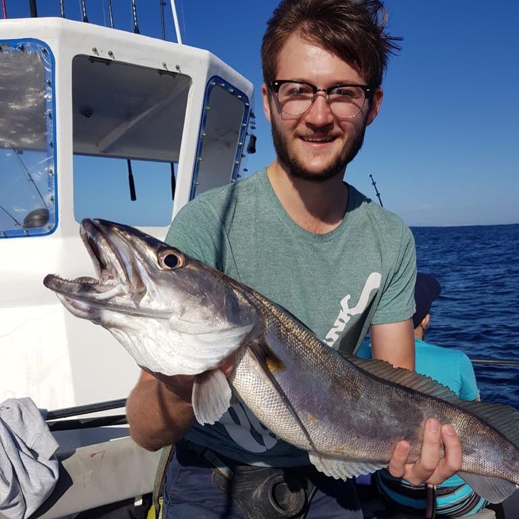 Hake