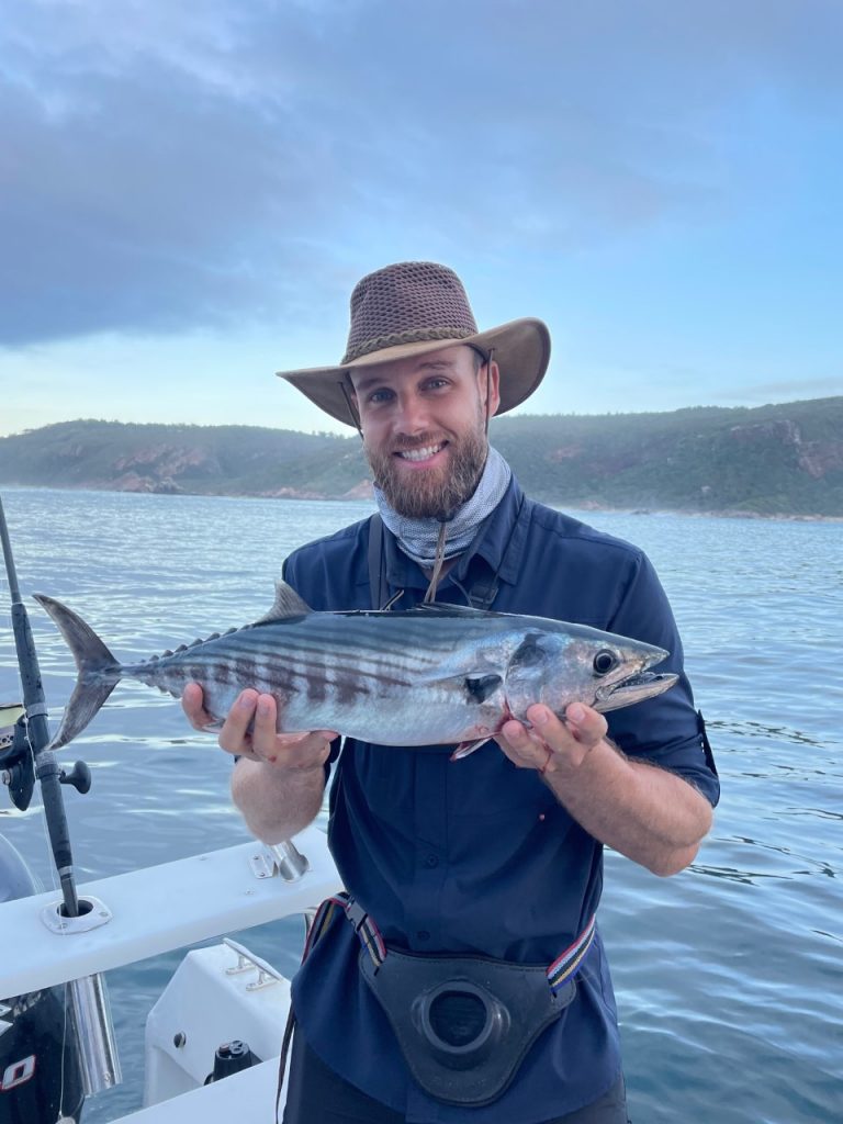 Katonkel (Atlantic Bonito)
