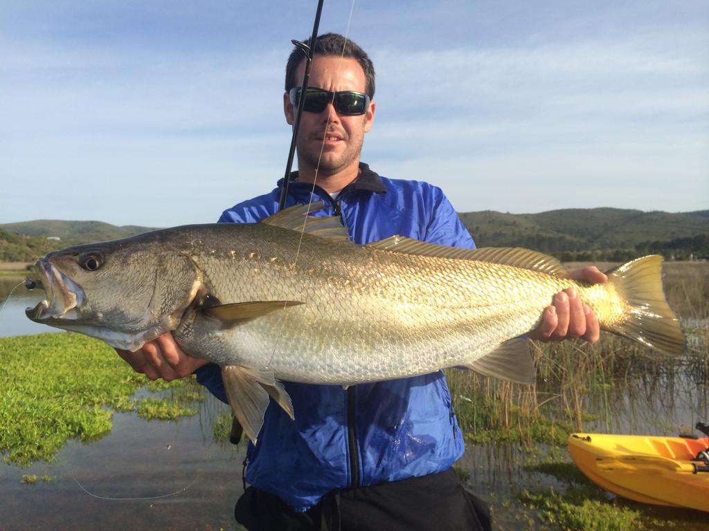 Plett River Charter